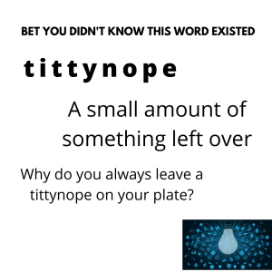 tittynope is a small amount of something left over.
