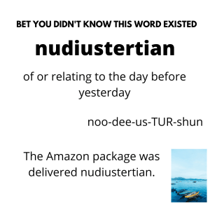 nudiustertian