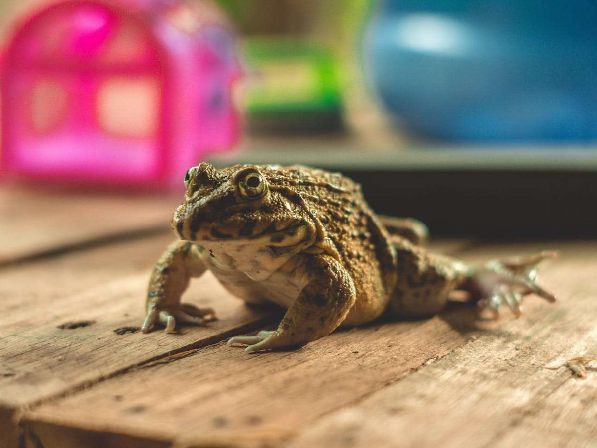 4 Reasons Prepositions Are&nbsp;Challenging